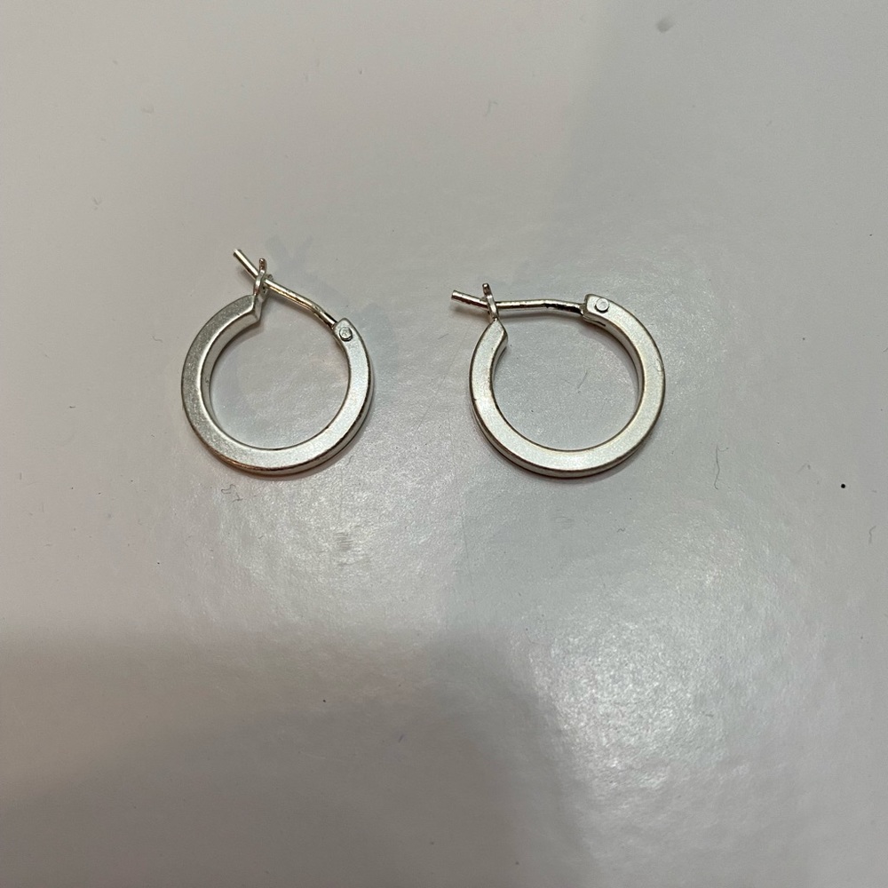 Silver Tone Small Hoop Earrings